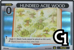 Hundred Acre Wood - FOIL